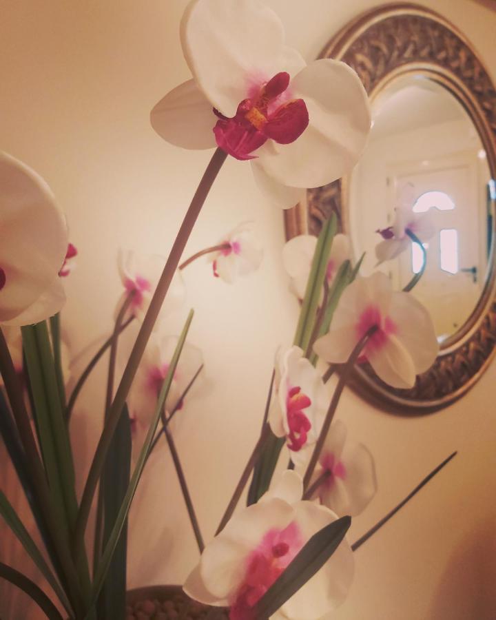 Apartament Διαμερισμα Su Casa Koropi Zewnętrze zdjęcie